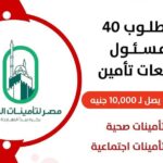 وظائف خالية في مصر لتامينات الحياة التابعة للصندوق السيادي للمؤهلات العليا والدبلومات 