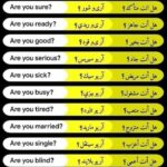 تعلم اللغة الانجليزية بدون نت بالصوت والصورة