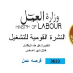 وظائف وزارة العمل المصريه 3633 فرصة عمل للمؤهلات العليا والدبلومات ومن غير مؤهل لجميع التخصصات والمحافظات 