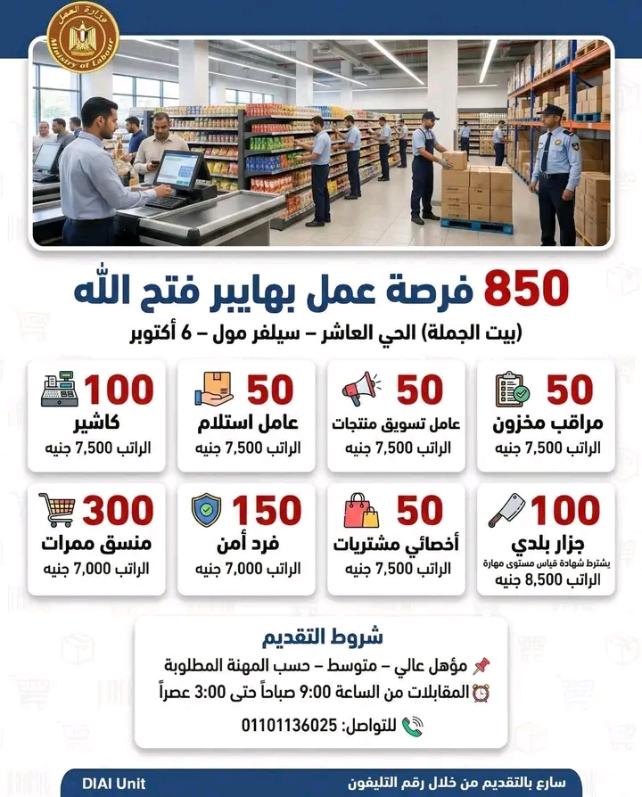 850 فرصة عمل أعلنت هنا وزارة العمل للدبلومات والمؤهلات العليا ومن غير مؤهل 2026 