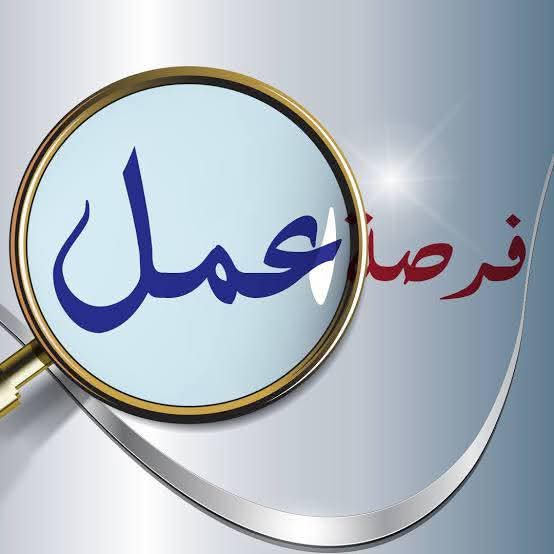 أعلنت وزارة العمل عن 470 فرصة عمل للدبلومات والمؤهلات العليا لجميع الكليات 2026 