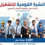 وظائف وزارة العمل  أعلنت 2289 فرصة عمل للمؤهلات العليا والدبلومات ومن غير مؤهل 2026 